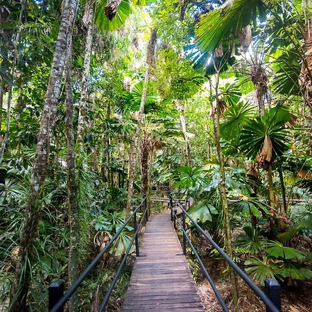 Daintree Wilderness Lodge מראה חיצוני תמונה