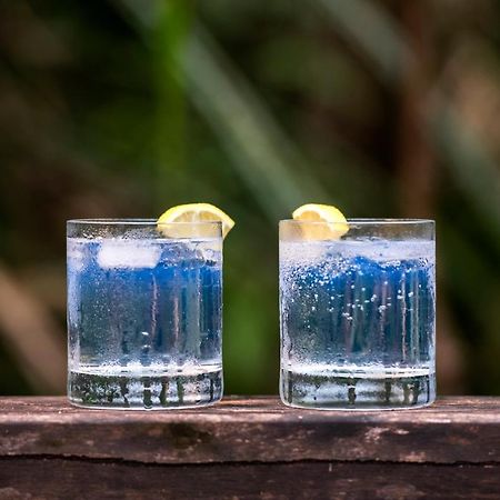 Daintree Wilderness Lodge מראה חיצוני תמונה