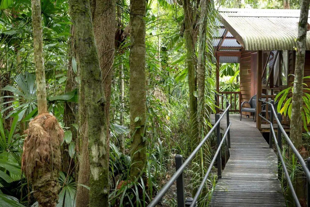 Daintree Wilderness Lodge מראה חיצוני תמונה