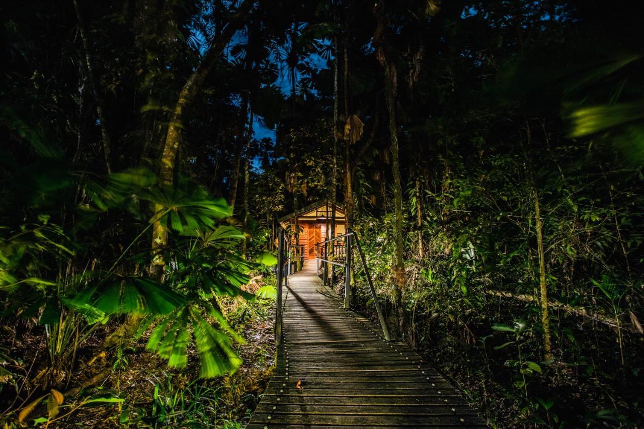 Daintree Wilderness Lodge מראה חיצוני תמונה