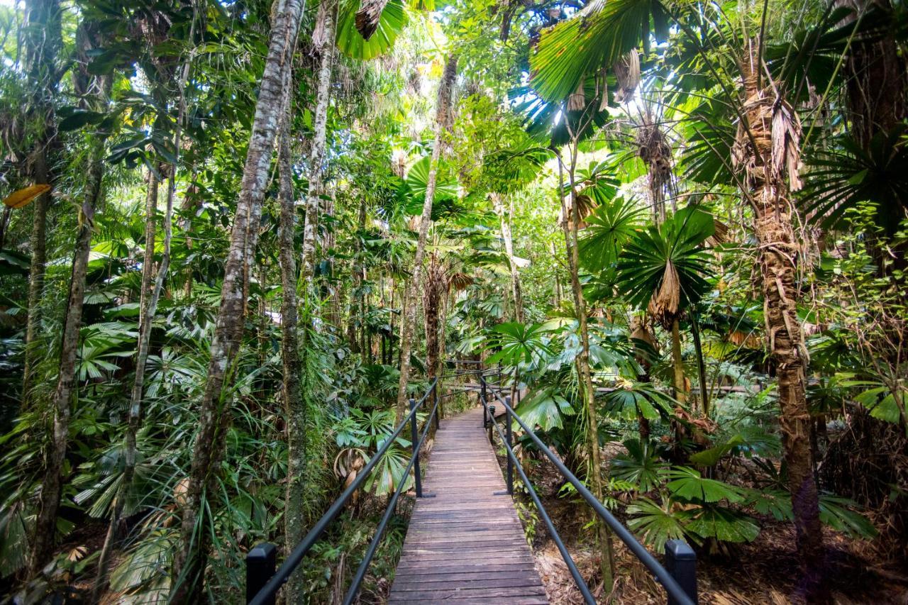 Daintree Wilderness Lodge מראה חיצוני תמונה