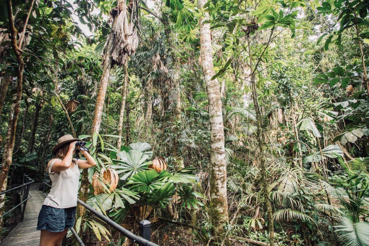Daintree Wilderness Lodge מראה חיצוני תמונה