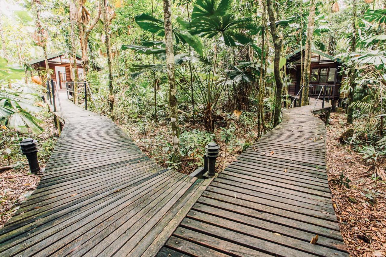 Daintree Wilderness Lodge מראה חיצוני תמונה