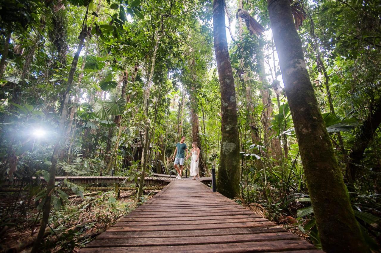 Daintree Wilderness Lodge מראה חיצוני תמונה