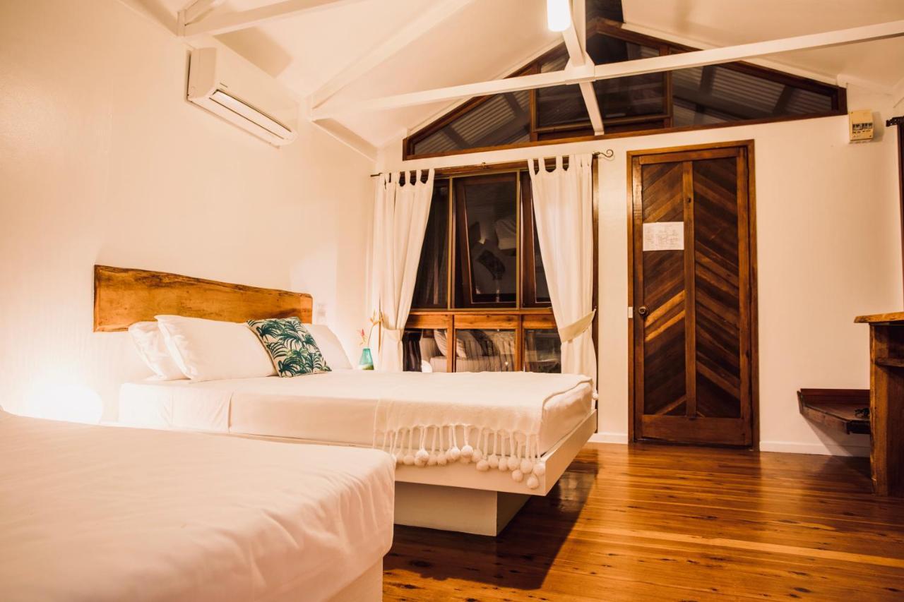 Daintree Wilderness Lodge מראה חיצוני תמונה
