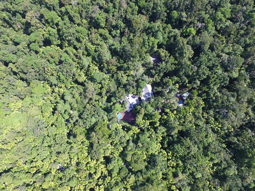 Daintree Wilderness Lodge מראה חיצוני תמונה