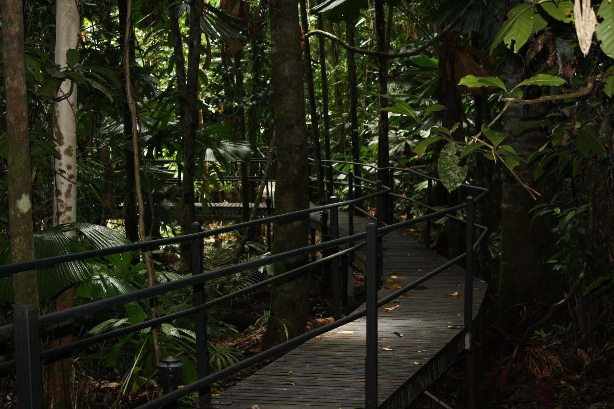 Daintree Wilderness Lodge מראה חיצוני תמונה