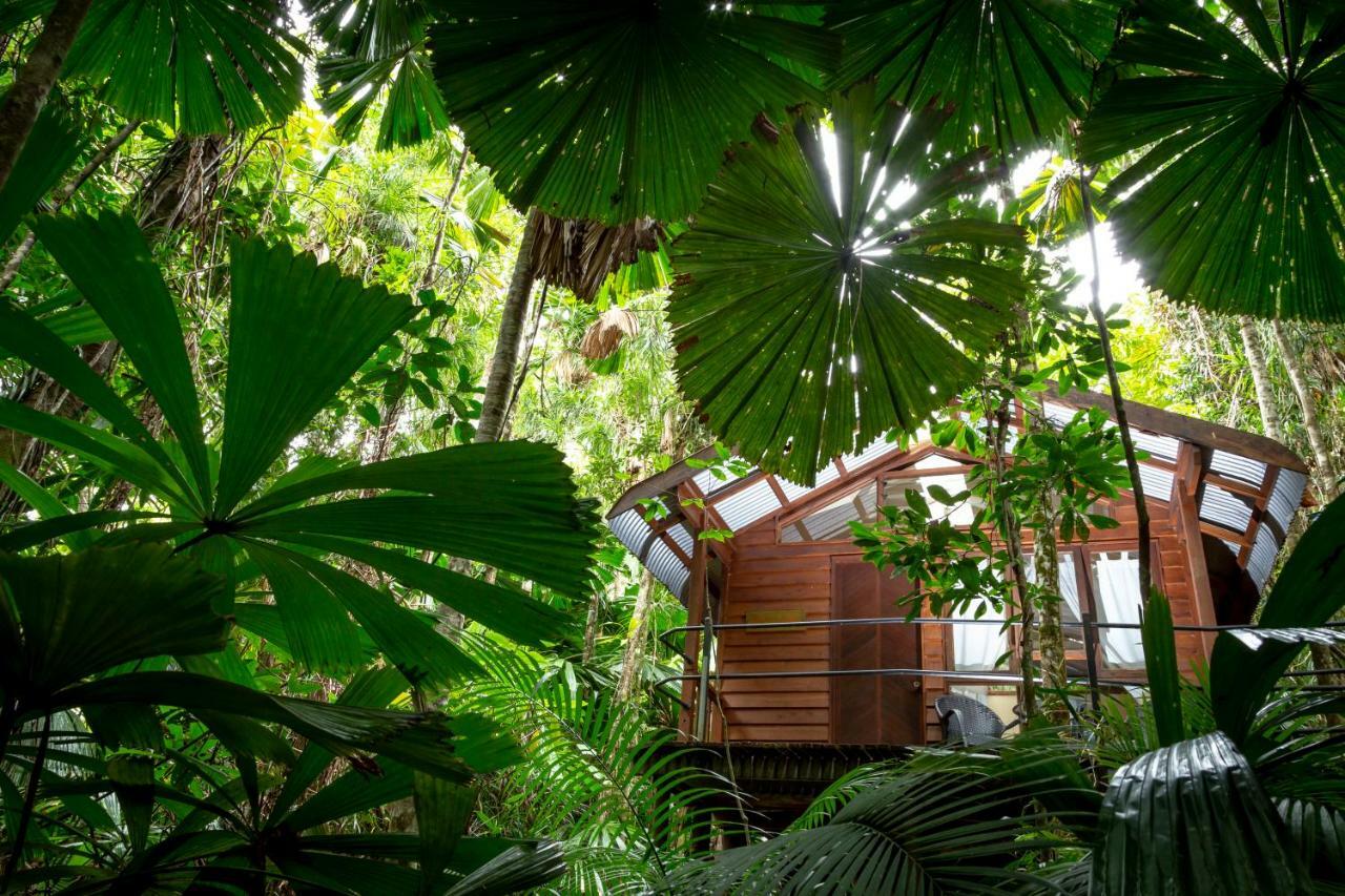 Daintree Wilderness Lodge מראה חיצוני תמונה